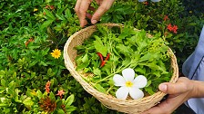 Thai cooking